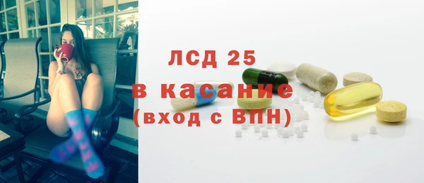 прущие грибы Корсаков