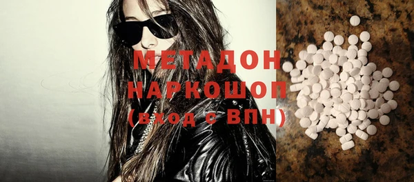 прущие грибы Корсаков