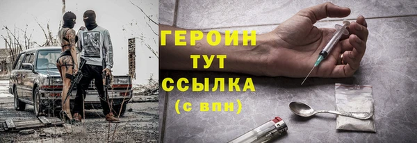 прущие грибы Корсаков